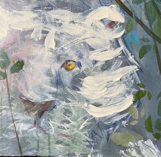 Dawn. Tropics of the Voluntarily Lost 120x110