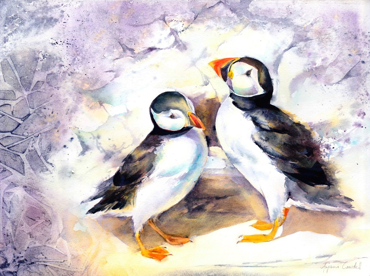 Puffins, original watercolour painting by Anjana Cawdell