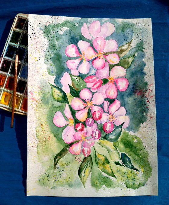 Apple Blossom original watercolr painting