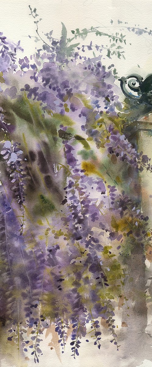 Glycine by Tatyana Tokareva