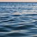 water by Nikola Lav Ralevic