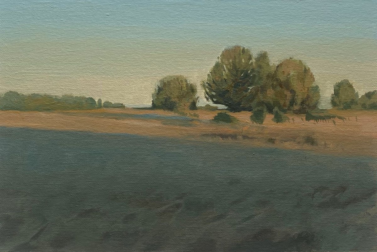 Impressionistic Landscape Oil Painting By Bohdan Vykhrenko, 12 X 8, Sunset Light, Original Artwork