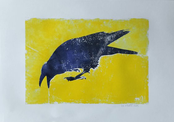 Raven 2/6