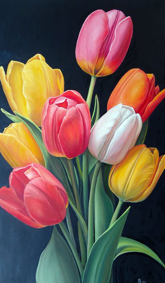 "Tulip Symphony"