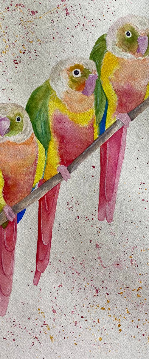 Green cheek conure party. Watercolour painting by Bethany Taylor