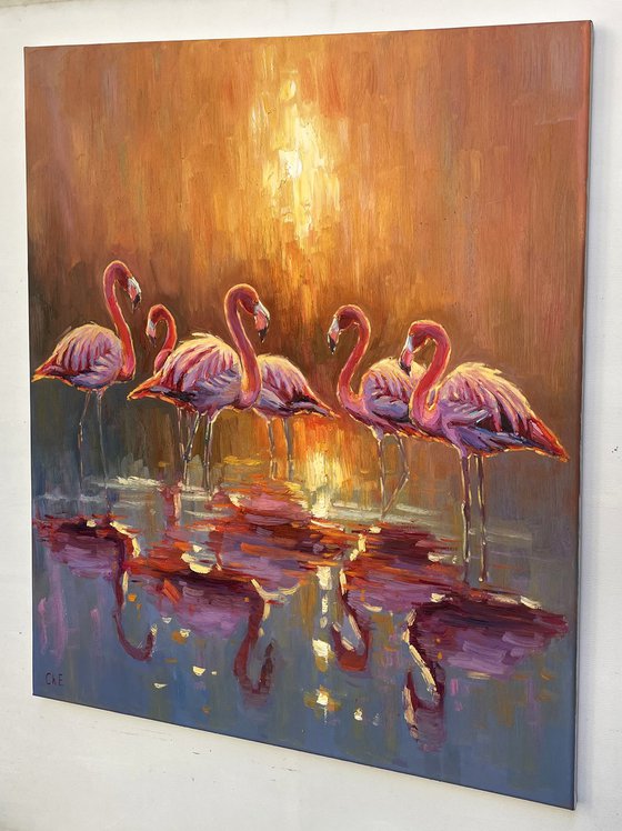" Pink flamingos "