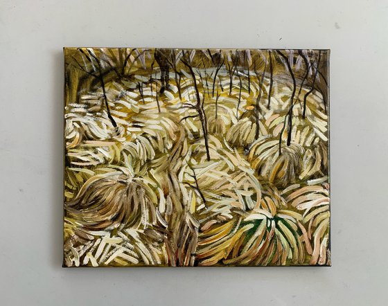 Dry Grasses