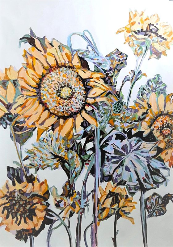 Sunflowers