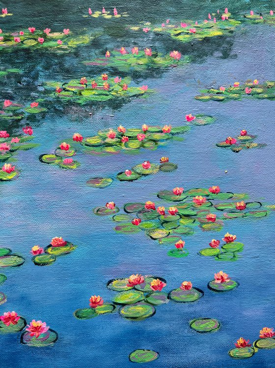 Water lilies garden