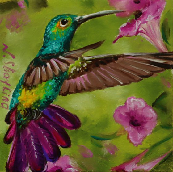 Hummingbird