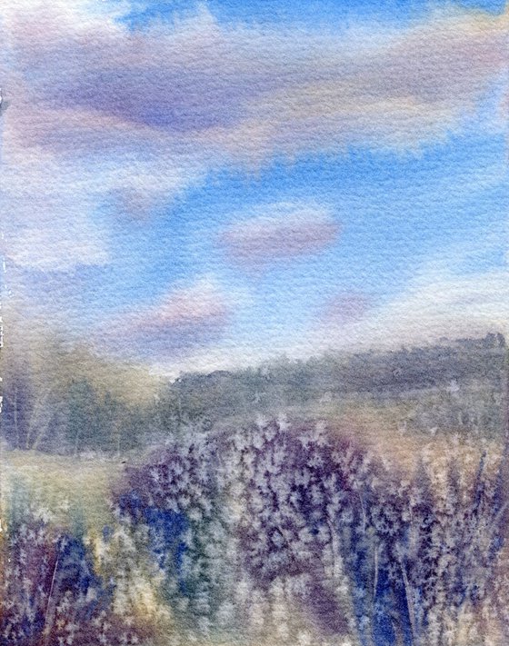 Evening, field with clouds