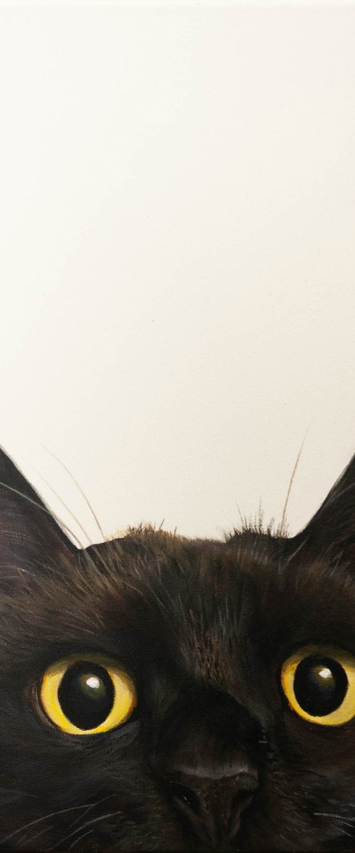 "Curious Eyes | Black Cat Hyperrealism" by Norma Beatriz Zaro