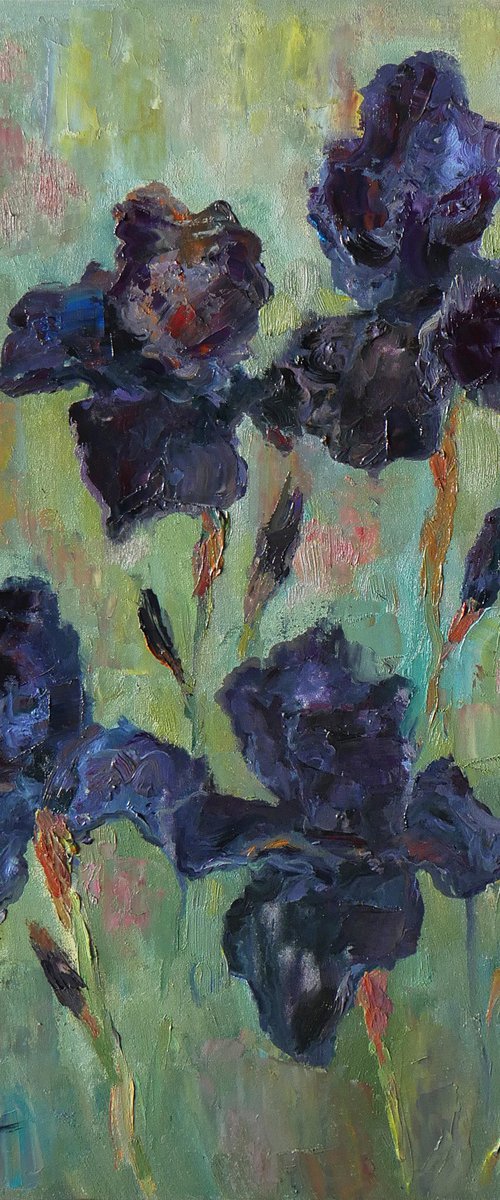 Irises - irises Black Dragon painting #5 by Nikolay Dmitriev