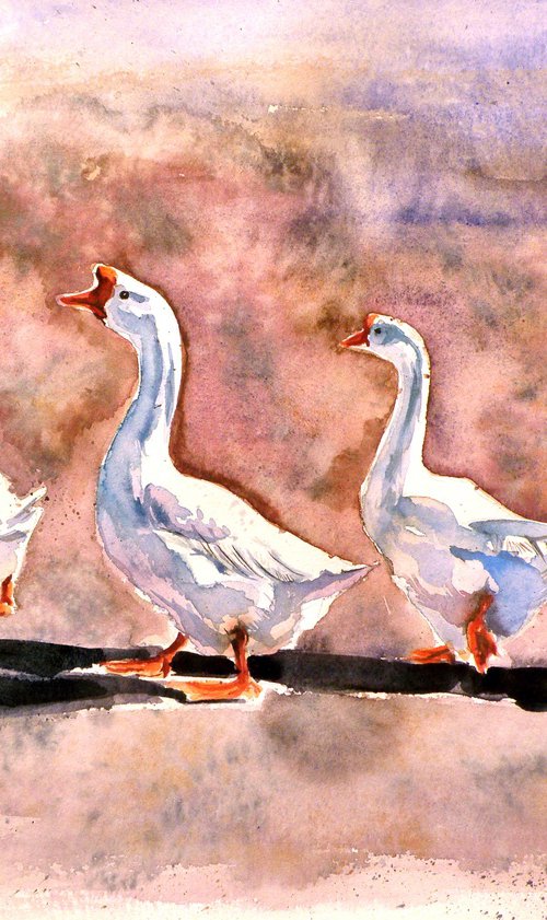 Walking geese by Kovács Anna Brigitta