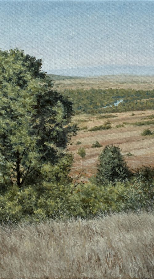 Long Valley by Dejan Trajkovic