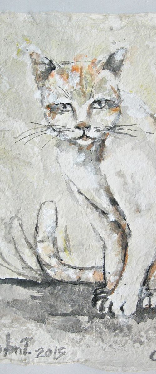 Cat2 by Gordon T.
