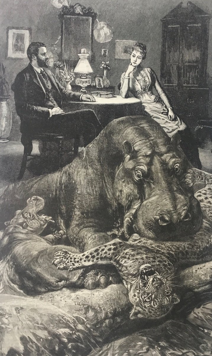 Surrealistic Portrait Collage By Tudor Evans, 6 X 11", Hippo Cheetah Marriage, Original Artwork