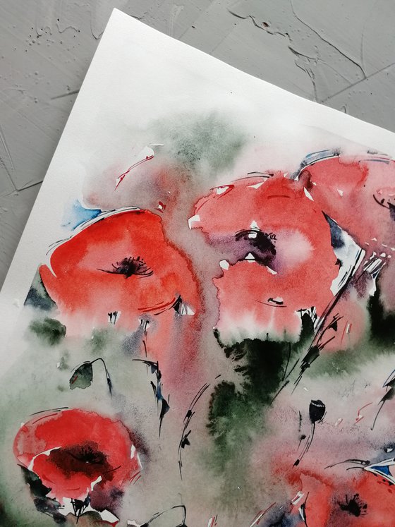 Red poppy painting. Wildflowers