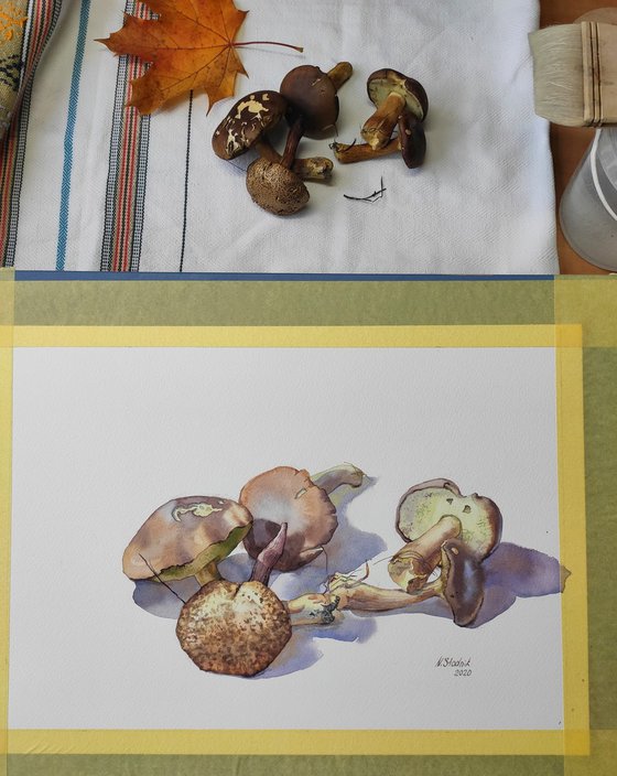 Ukrainian watercolour. Silent hunting. Mushrooms