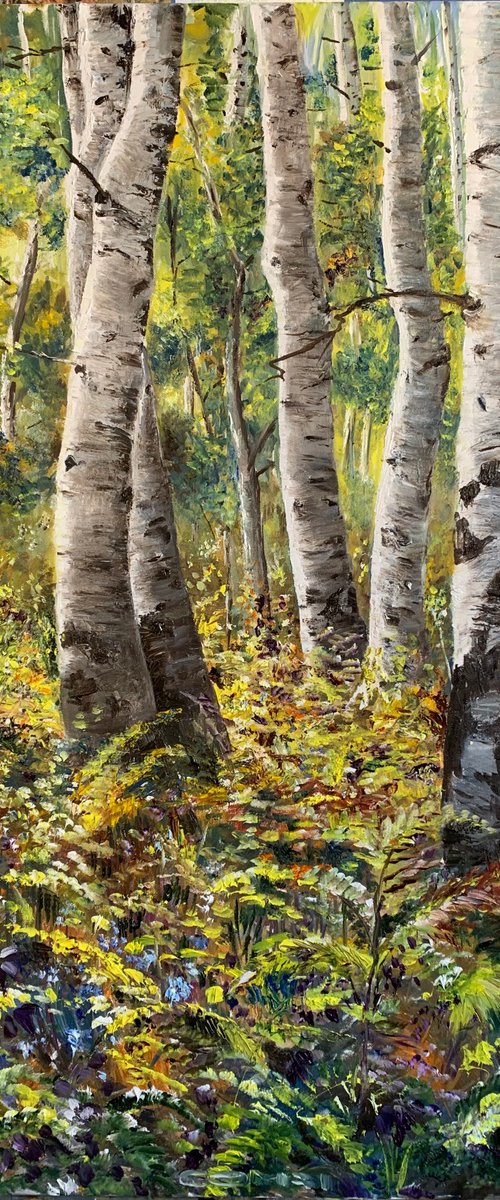 Foresta nordica by Gianfranco Combi