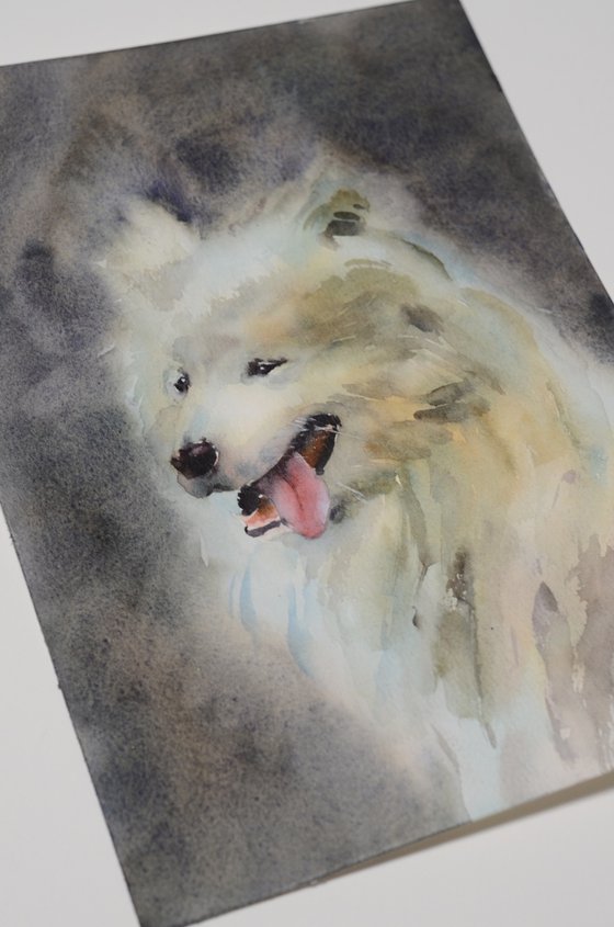 White Samoyed dog in watercolor