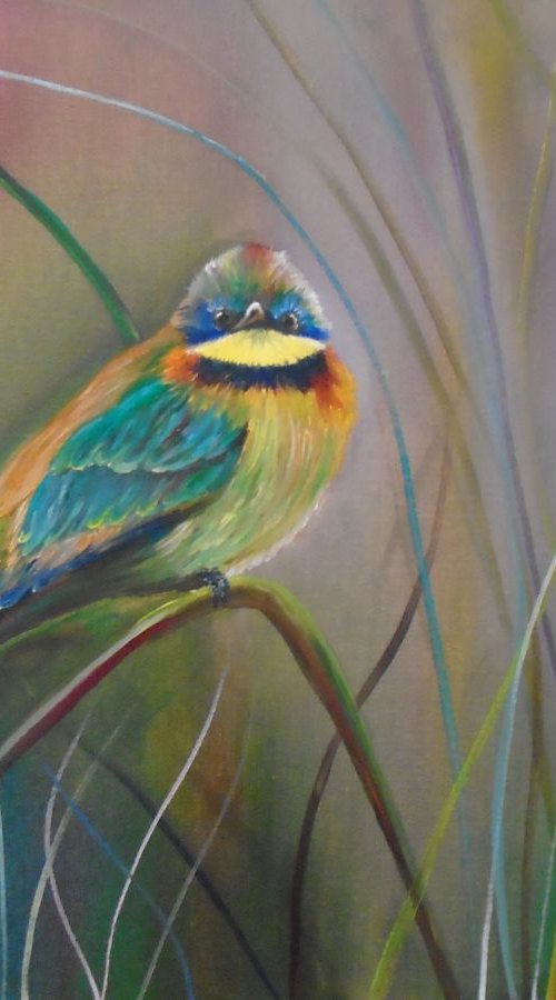 Message of a bird by Timea  Valsami