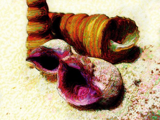 Caracoles púrpura