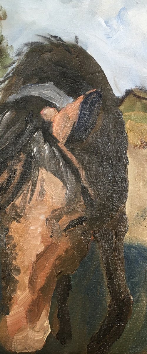 New forest Pony by Julian Lovegrove Art