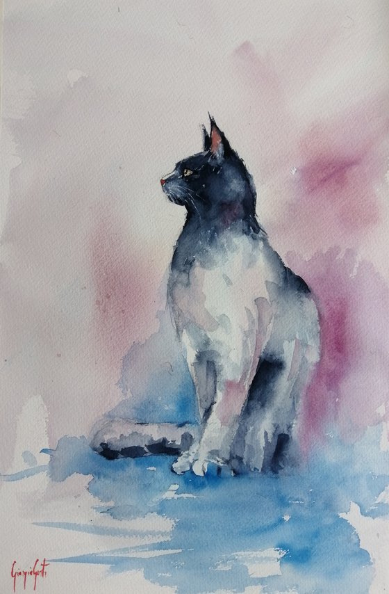 cat 19