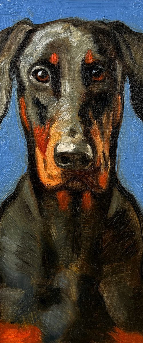 Doberman by Elina Arbidane