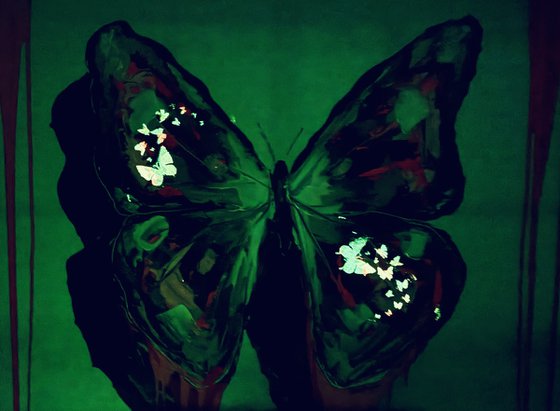Wings of Transformation