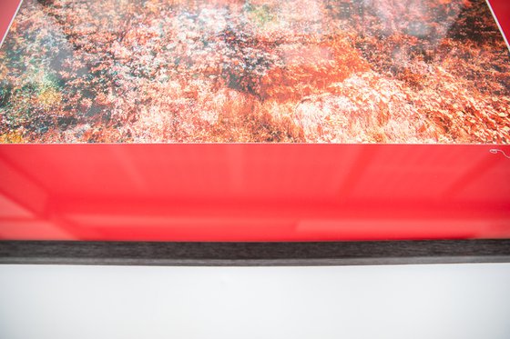 Wall of Nature LXVII (Framed)