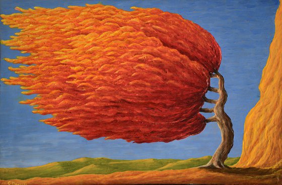 UN ALBERO