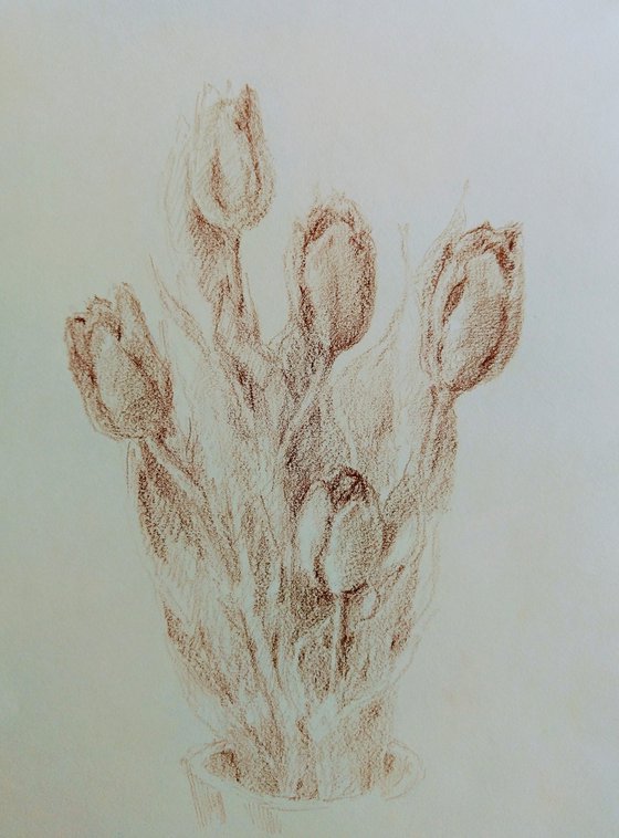 Tulipes #6. Original pencil drawing.