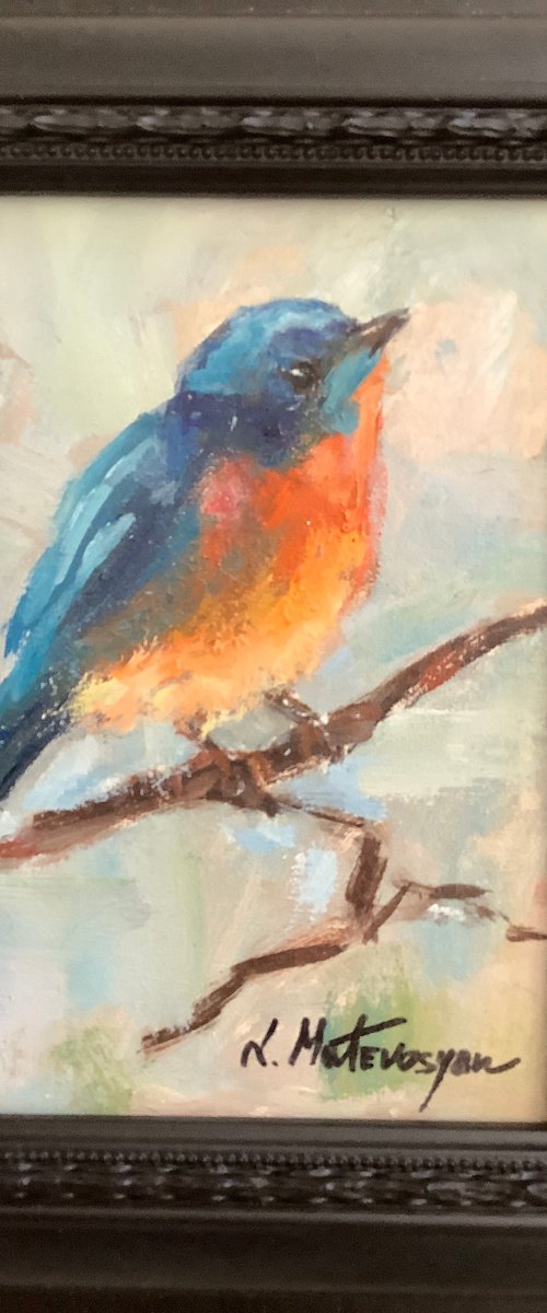 Bluebird by Lia Matevosyan Haselton