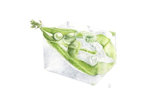 Frozen Green Peas by Yuliia Moiseieva
