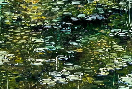 pond in the forest park