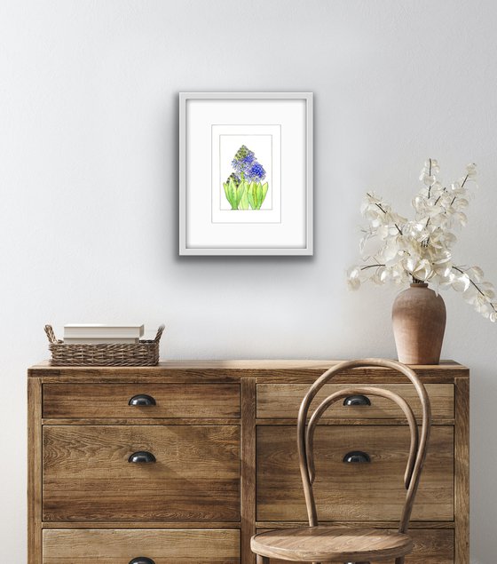 Hyacinth flowers mixed media illustration