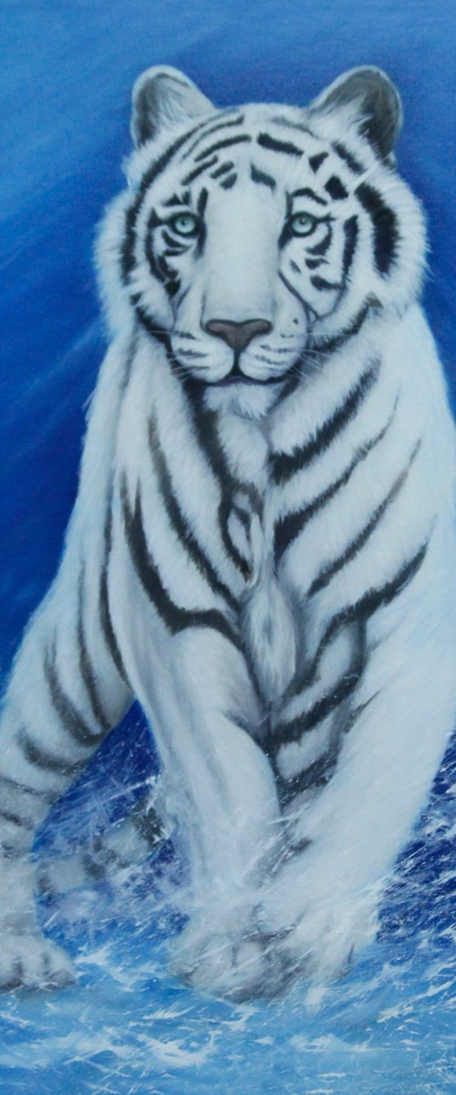 White tiger in Snowstorm by Jane Moore