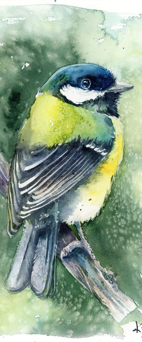 Great Tit, wildlife, birds watercolours by Karolina Kijak