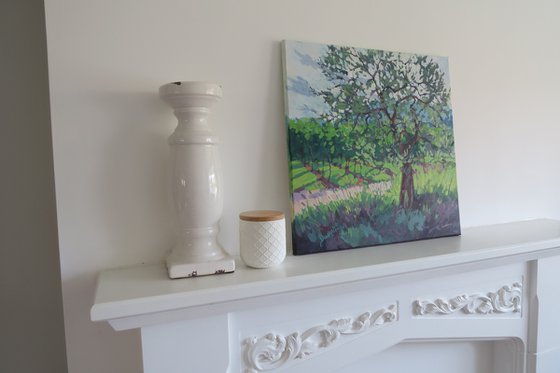 Olive Tree and Vineyard