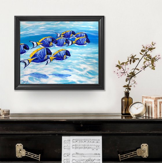 Blue Tang Fish School