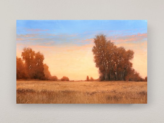 Trees At Sunset 260102