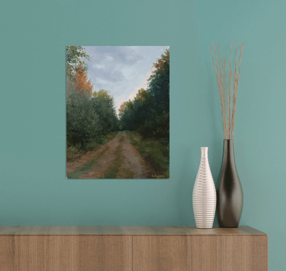 Road in the forest