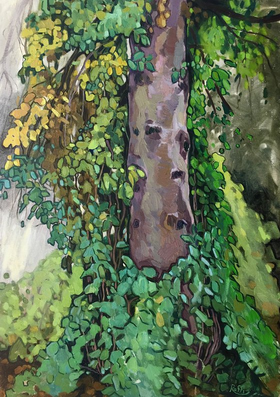 Landscape