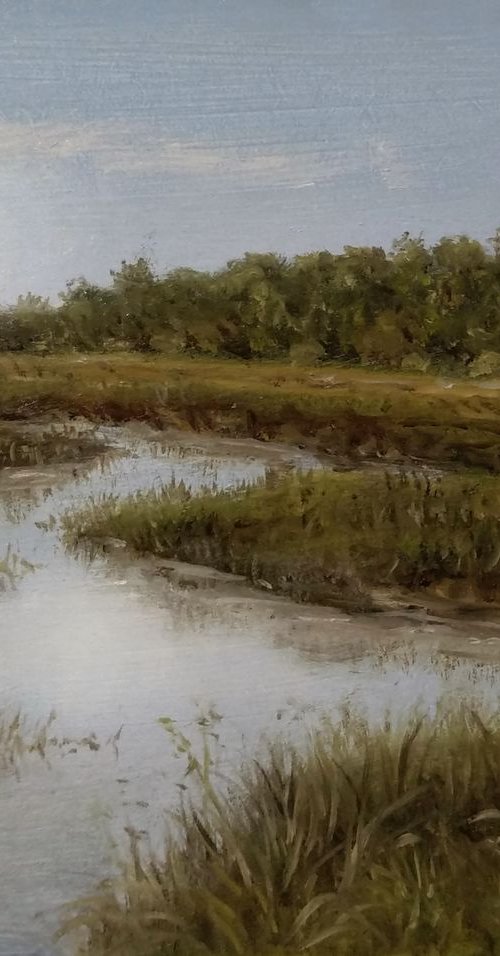 Marsh meadows3 by Vishalandra Dakur