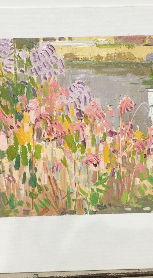 Season 264 by jianzhe chon