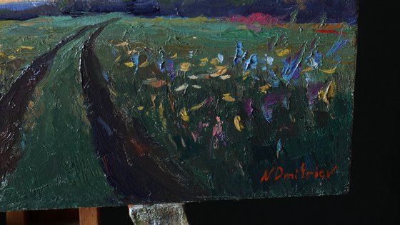 Sunset Over Wildflowers Field