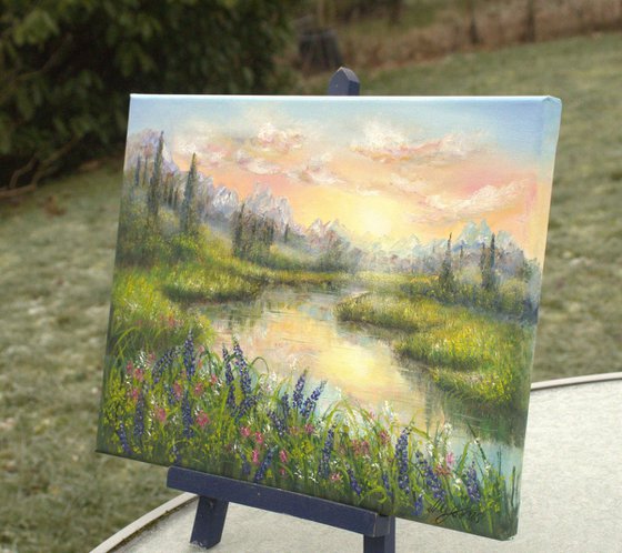 Sunset at the bluebonnet field