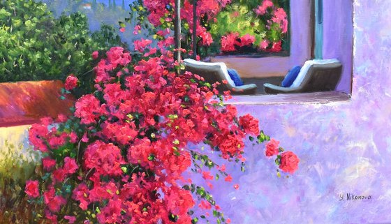 Climbing Bougainvillea